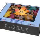 60 piece box